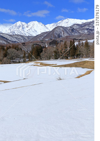 栂池高原から望む早春の北アルプス 栂池高原から望む早春の北アルプス 137876179