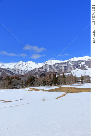 栂池高原から望む早春の北アルプス 栂池高原から望む早春の北アルプス 137876181