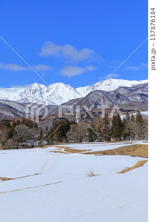 栂池高原から望む早春の北アルプス 栂池高原から望む早春の北アルプス 137876184