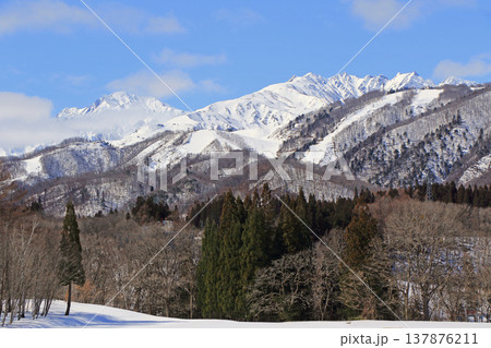 栂池高原から望む早春の北アルプス 137876211