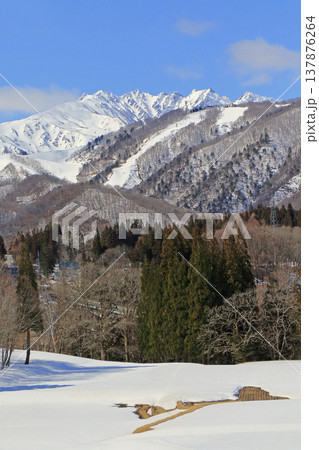 栂池高原から望む早春の北アルプス 栂池高原から望む早春の北アルプス 137876264