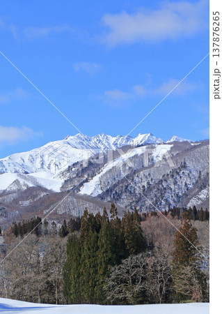 栂池高原から望む早春の北アルプス 栂池高原から望む早春の北アルプス 137876265