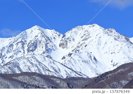 栂池高原から望む早春の北アルプス 137876349