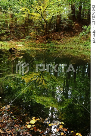 平泉寺 137876642