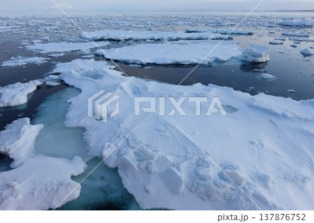網走流氷観光砕氷船おーろらから見た流氷 137876752
