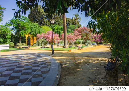 スペインセビリア街 公園風景 スペインセビリア街 公園風景 137876800