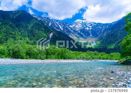 【絶景】初夏の上高地・新緑の穂高連峰と梓川【長野県】 137876998