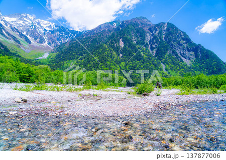 【絶景】初夏の上高地・新緑の穂高連峰と梓川【長野県】 【絶景】初夏の上高地・新緑の穂高連峰と梓川【長野県】 137877006