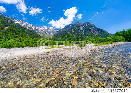 【絶景】初夏の上高地・新緑の穂高連峰と梓川【長野県】 【絶景】初夏の上高地・新緑の穂高連峰と梓川【長野県】 137877013