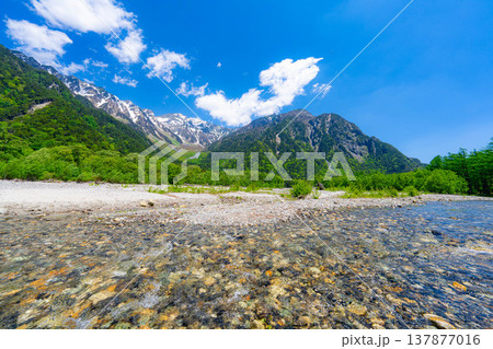 【絶景】初夏の上高地・新緑の穂高連峰と梓川【長野県】 【絶景】初夏の上高地・新緑の穂高連峰と梓川【長野県】 137877016