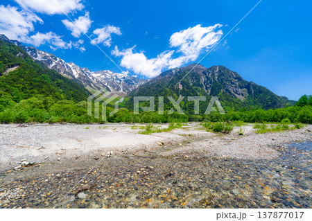 【絶景】初夏の上高地・新緑の穂高連峰と梓川【長野県】 【絶景】初夏の上高地・新緑の穂高連峰と梓川【長野県】 137877017