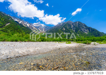 【絶景】初夏の上高地・新緑の穂高連峰と梓川【長野県】 【絶景】初夏の上高地・新緑の穂高連峰と梓川【長野県】 137877019