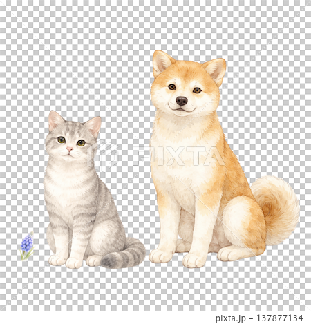 可愛的水彩插畫，描繪了狗、貓、寵物和動物。 137877134