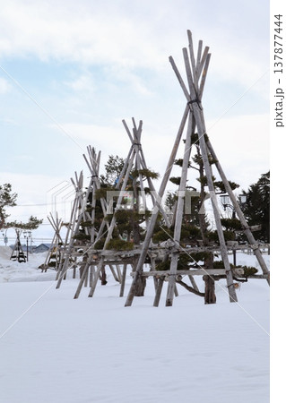 冬囲いされた樹木と雪景色 137877444