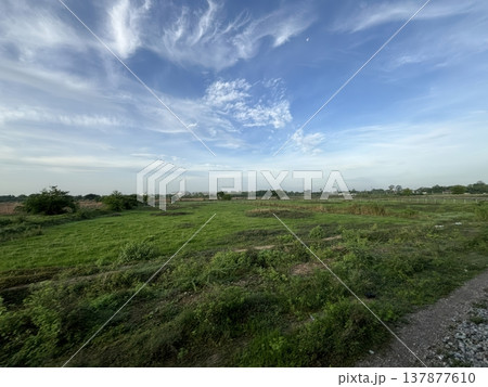 Wide Angle View of Green Fields under Bright Blue Sky with Wispy Clouds in Rural Landscape 137877610