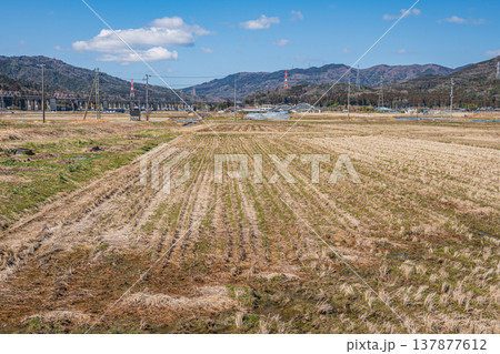 奥琵琶湖の田園風景　滋賀県長浜市西浅井町 137877612
