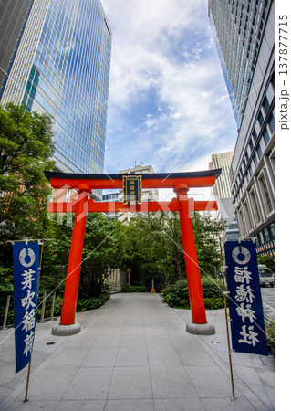 東京・日本橋　福徳神社（芽吹稲荷）の鳥居とオフィスビルのある風景 137877715