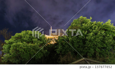 ライトアップされた夜桜 137877852