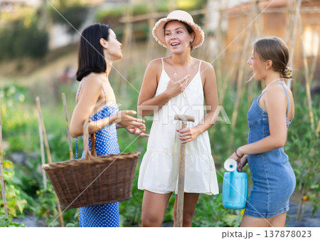 Three positive peasant girls are chatting in garden Three positive peasant girls are chatting in garden 137878023