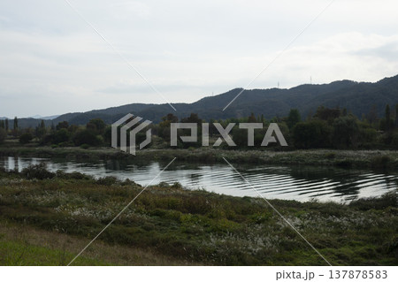 Han River bike path 137878583