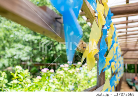 かざぐるまのイメージ 137878669