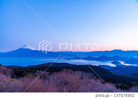 (静岡県)達磨山高原から、夜明けの富士山を望む (静岡県)達磨山高原から、夜明けの富士山を望む 137878802
