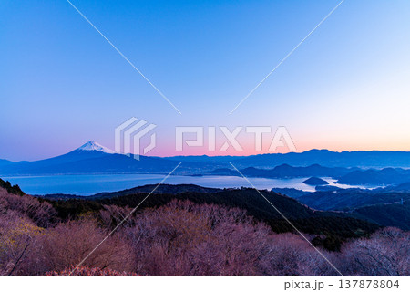 (静岡県)達磨山高原から、夜明けの富士山を望む (静岡県)達磨山高原から、夜明けの富士山を望む 137878804