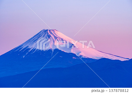 (静岡県)達磨山高原から、夜明けの富士山を望む (静岡県)達磨山高原から、夜明けの富士山を望む 137878812
