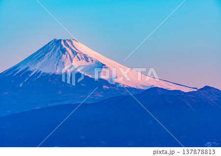 (静岡県)達磨山高原から、夜明けの富士山を望む (静岡県)達磨山高原から、夜明けの富士山を望む 137878813