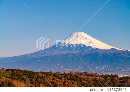 (静岡県)早朝の達磨山高原から、富士山を望む (静岡県)早朝の達磨山高原から、富士山を望む 137878941