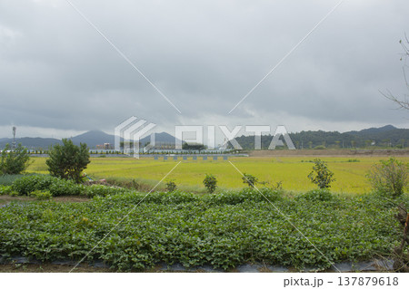 This is a rural landscape in autumn. 137879618