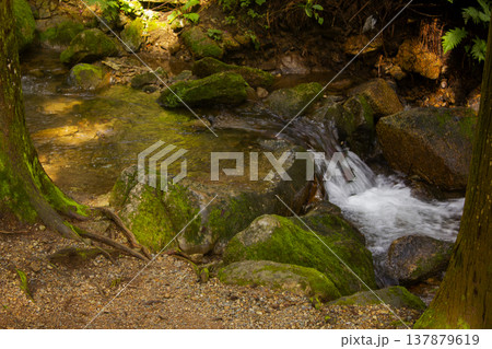 It is a stream in the mountains. It is a stream in the mountains. 137879619