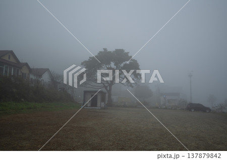 Han River bike path 137879842