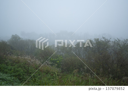 Han River bike path Han River bike path 137879852