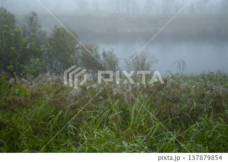 Han River bike path Han River bike path 137879854