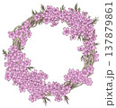 芝桜のリース素材 137879861