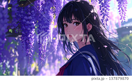 藤の花を眺める美少女 藤の花を眺める美少女 137879870