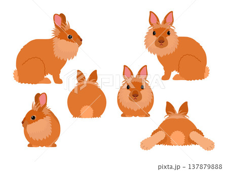 ライオンヘッドのセット 137879888