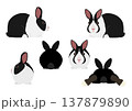 ダッチラビットのセット 137879890