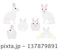 白いウサギのセット 137879891