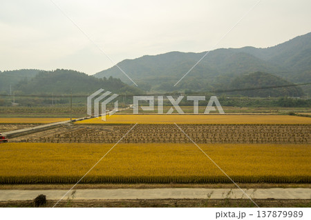 Han River bike path 137879989