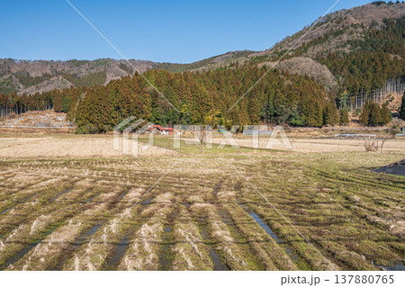 奥琵琶湖の田園風景　滋賀県長浜市西浅井町 137880765