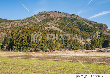 奥琵琶湖の田園風景　滋賀県長浜市西浅井町 137880769