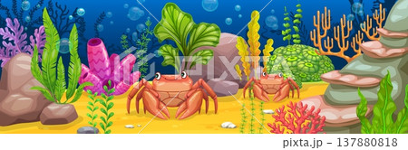 Underwater landscape game background with crabs and seaweeds. Cartoon vector aquatic ocean wildlife, sea coral reef with crab, algae plant and rocks. Tropical marine nature with habitat and ecosystem 137880818
