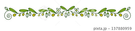 Olives and green leaves divider or separator...のイラスト素材 [137880959] - PIXTA