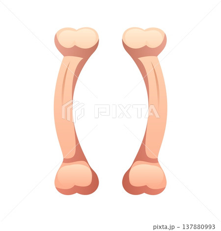 Pirate font and Caribbean corsairs type or piracy typeface, cartoon vector punctuation mark for alphabet. Skeleton bones as brackets for pirate font and corsairs typeface and marine typography 137880993