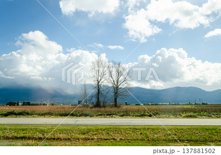 View of Canada Countryside, Fraser Valley, BC View of Canada Countryside, Fraser Valley, BC 137881502