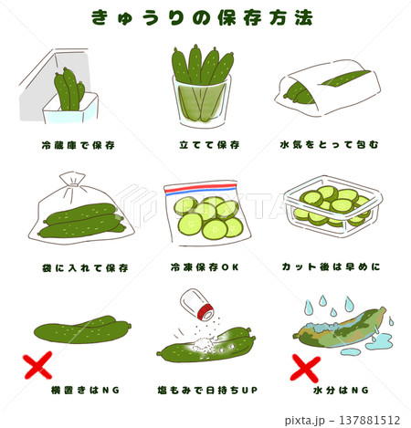 きゅうりの正しい保存方法9選（冷蔵・冷凍・長持ちのコツ） 137881512