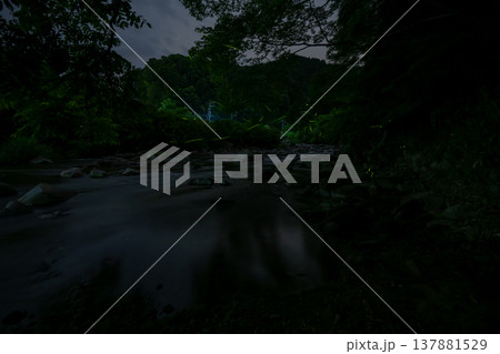 三重県 ホタルの舞う風景・夏イメージ 三重県 ホタルの舞う風景・夏イメージ 137881529