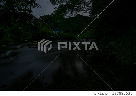 三重県 ホタルの舞う風景・夏イメージ 三重県 ホタルの舞う風景・夏イメージ 137881530